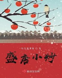 盛唐幻夜电视连续剧